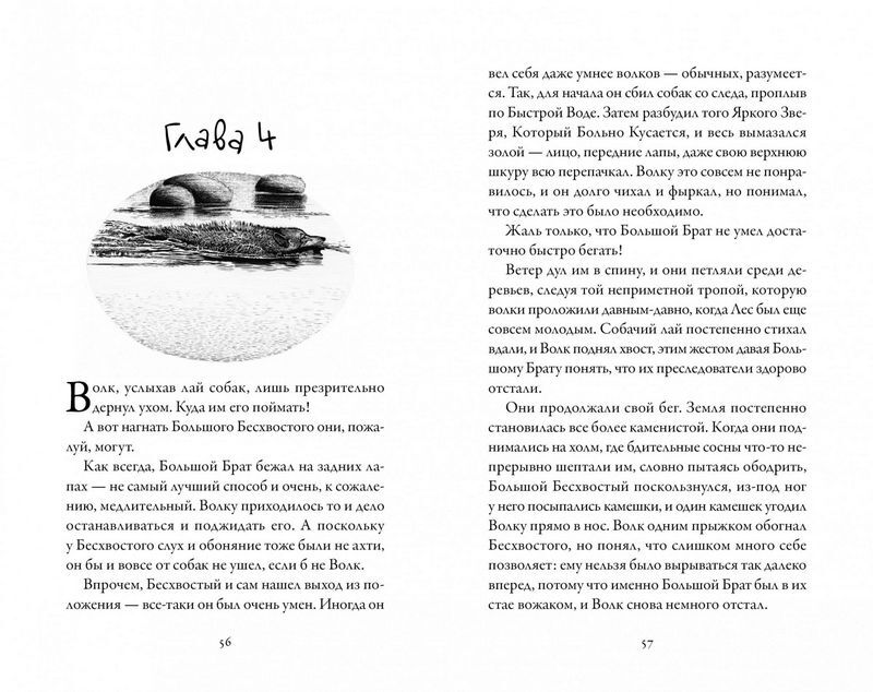 Хроники темных времен. Книга 4. Изгнанник - фото 3