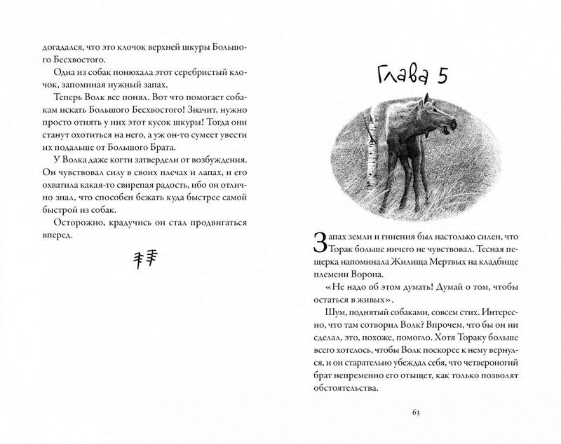 Хроники темных времен. Книга 4. Изгнанник - фото 4