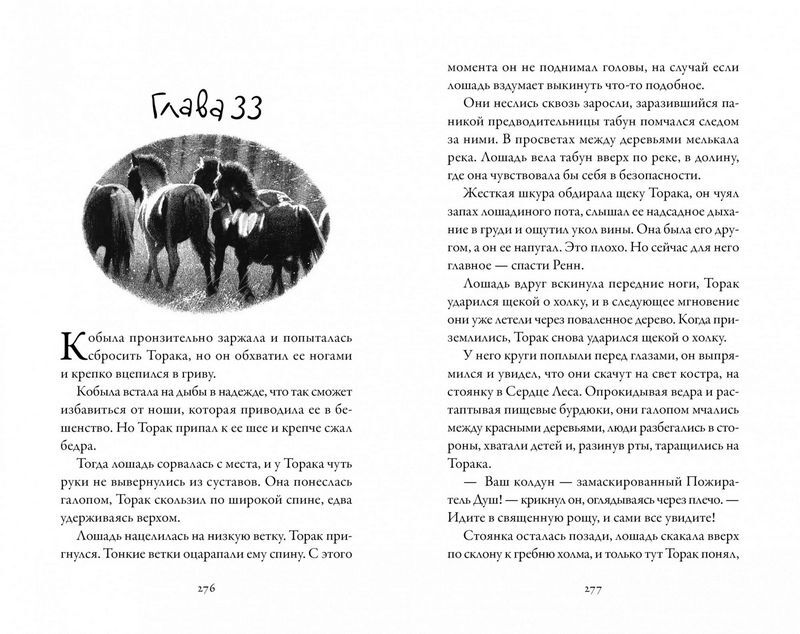 Хроники темных времен. Книга 5. Клятва мстителя - фото 4