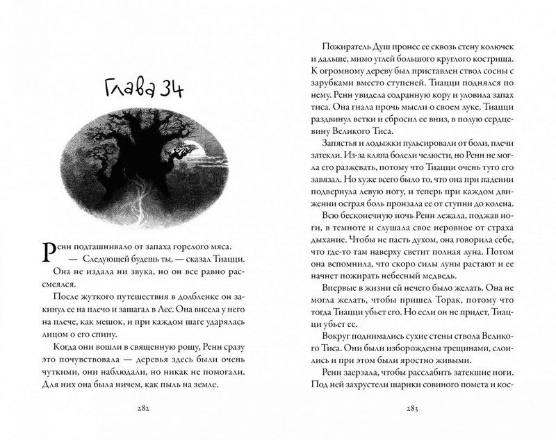 Хроники темных времен. Книга 5. Клятва мстителя - фото 5