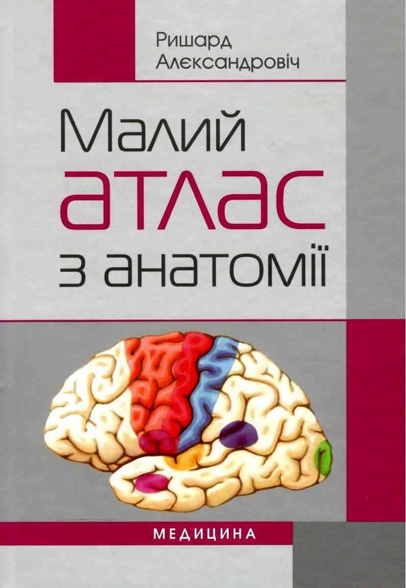 Малий атлас з анатомії Maly atlas anatomiczny Навчальний посібник Ришард Алєксандровіч 2-е вид., випр. Медицина Малий атлас з анатомії Maly atlas anatomiczny Навчальний посібник Ришард Алєксандровіч 2-е вид., випр. Медицина - Довідники з Біології