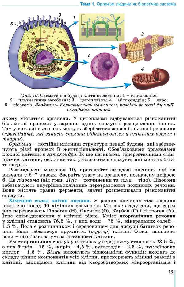 Підручник Біологія 8 клас Програма 2021 Авт: Матяш Н. Остапченко Л. Пасічніченко О. Балан П. Вид-во: Генеза - фото 3