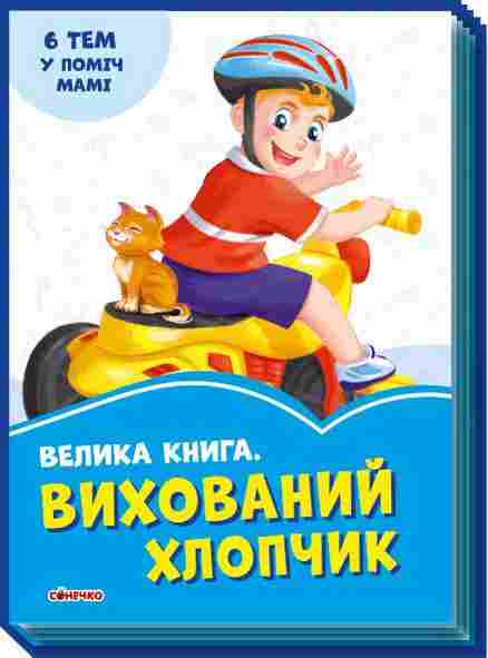 Волошкові книжки Велика книга Вихований хлопчик Ірина Сонечко - Книжки для найменших