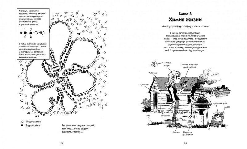 Биология. Краткий курс в комиксах - фото 7