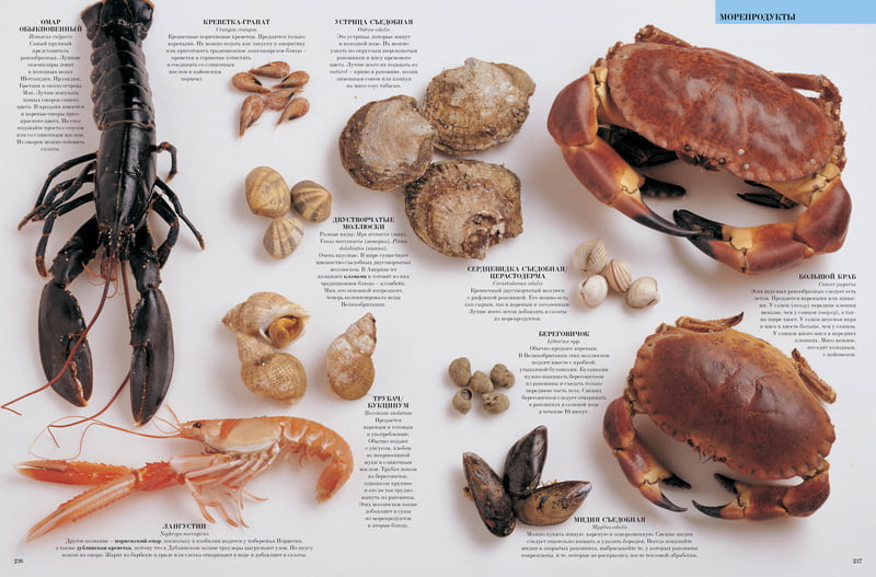 Элементы питания. Визуальная энциклопедия - фото 4