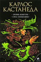 Огонь изнутри. Сила безмолвия. Соб. сочинений в 6-ти томах. Том 4