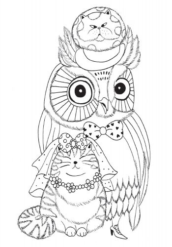 Майже мільйон сов Лулу Майо Жорж - фото 3