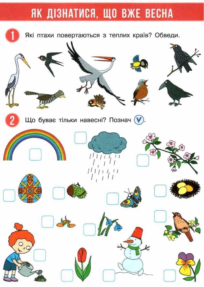 Робочий зошит Я досліджую світ 1 клас Частина 2 НУШ До підручника Бібік Н.М. Бондарчук Г.П. Авт: Бібік Н.М. Бондарчук Г.П. Вид-во: Ранок - фото 6