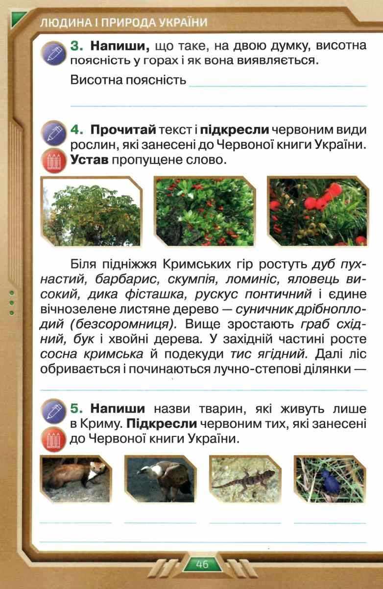 Робочий зошит Я досліджую світ 4 клас Частина 2 НУШ Авт: Грущинська І.В. Хитра З.М. Вид-во: Оріон - фото 8