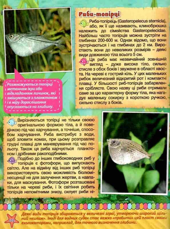 Підводний світ Дитяча енциклопедія Жовта Юлія Карпенко Глорія - фото 3