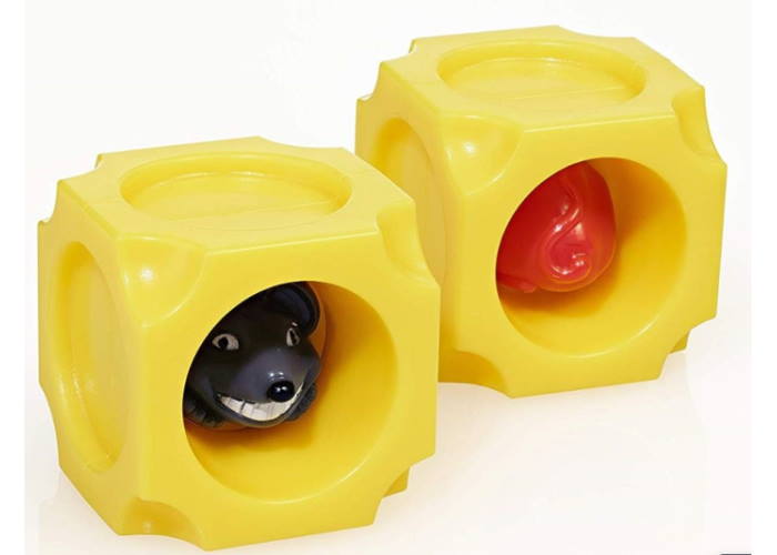 Настольная игра Eureka Скажи Сыр (Say Cheese) (англ.) (473546) - Eureka - фото 3