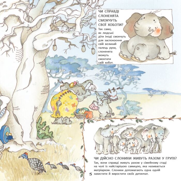 Слоненя Ліззі - фото 5