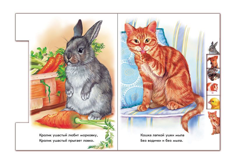 В доме - фото 4