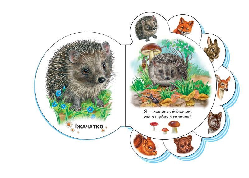 У лісі Ірина Сонечко Ранок - фото 2