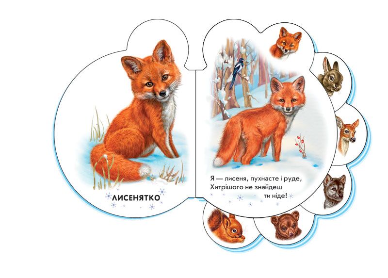 У лісі Ірина Сонечко Ранок - фото 3