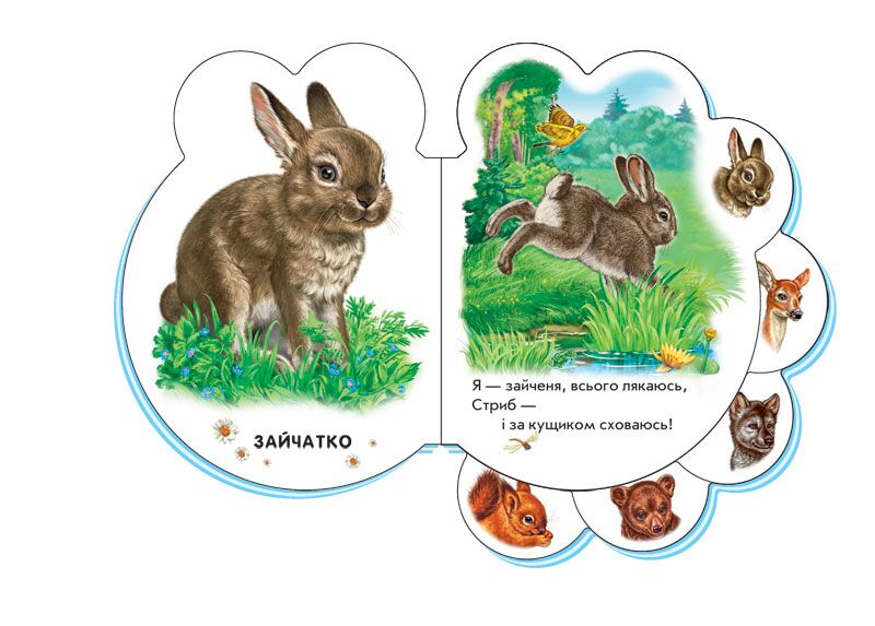 У лісі Ірина Сонечко Ранок - фото 4