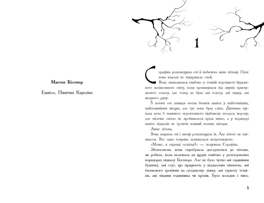 Серафіна і розколоте серце - фото 3