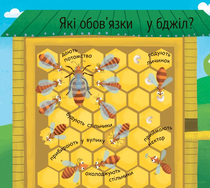 Як утворюється мед? - фото 2