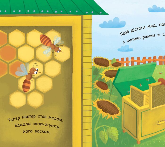 Як утворюється мед? - фото 5