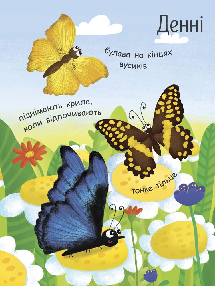 Як народжується метелик? - фото 3