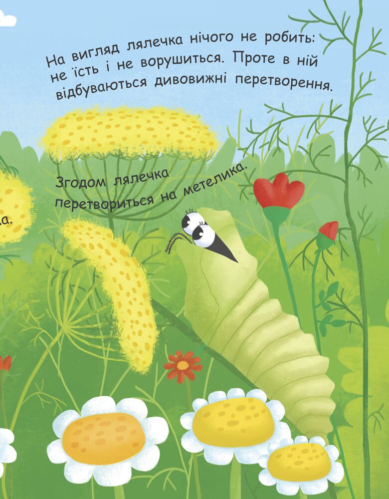 Як народжується метелик? - фото 5