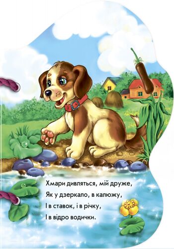 Каченятко - фото 3