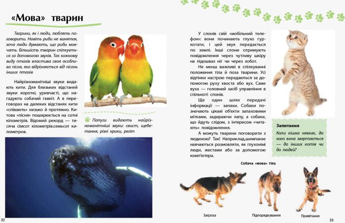 Тварини - фото 2