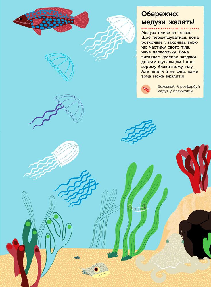 На березі моря Моя книга природи Косно Олівія Ранок - фото 3