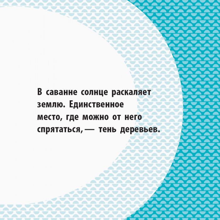 Отряд саванны - фото 6