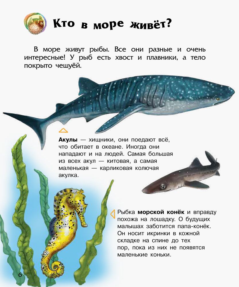 Океаны и моря - фото 2