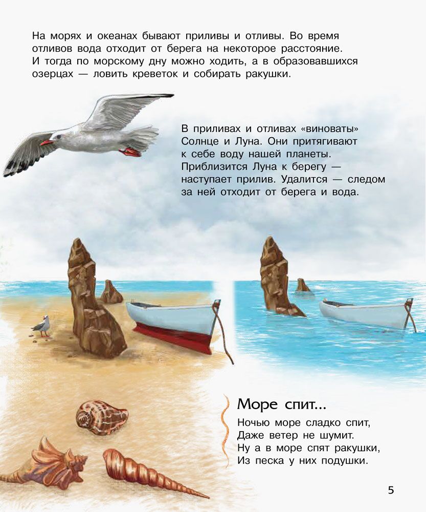 Океаны и моря - фото 3