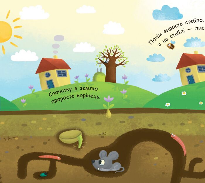 Як виростає дерево? - фото 4