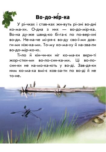 Тваринний світ річок і морів - фото 2