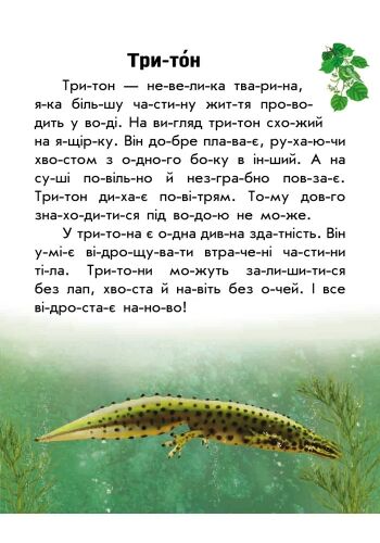 Тваринний світ річок і морів - фото 3