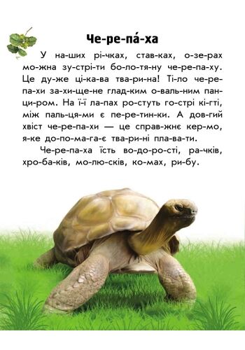 Тваринний світ річок і морів - фото 4