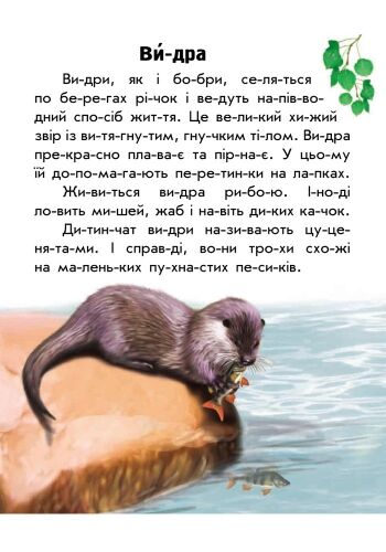 Тваринний світ річок і морів - фото 5