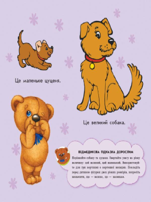 Величина - фото 3