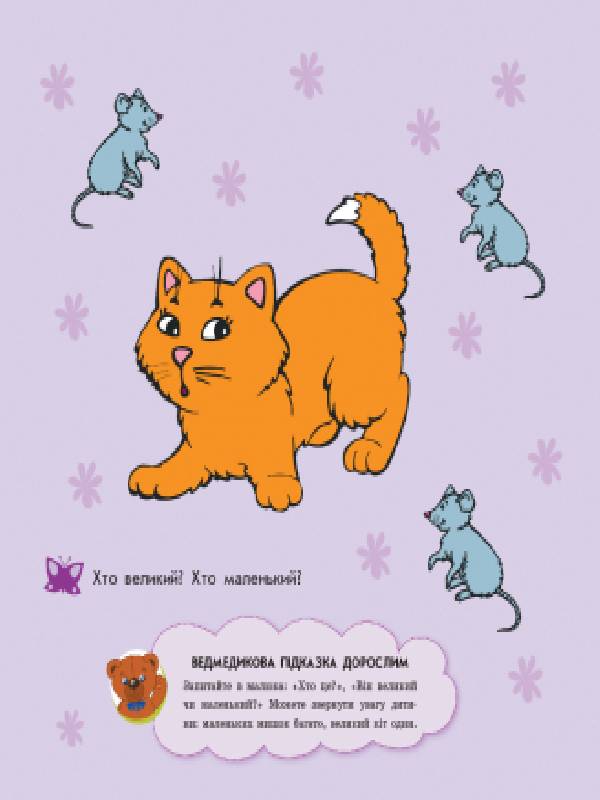 Величина - фото 4