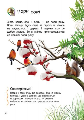 Природа - фото 4