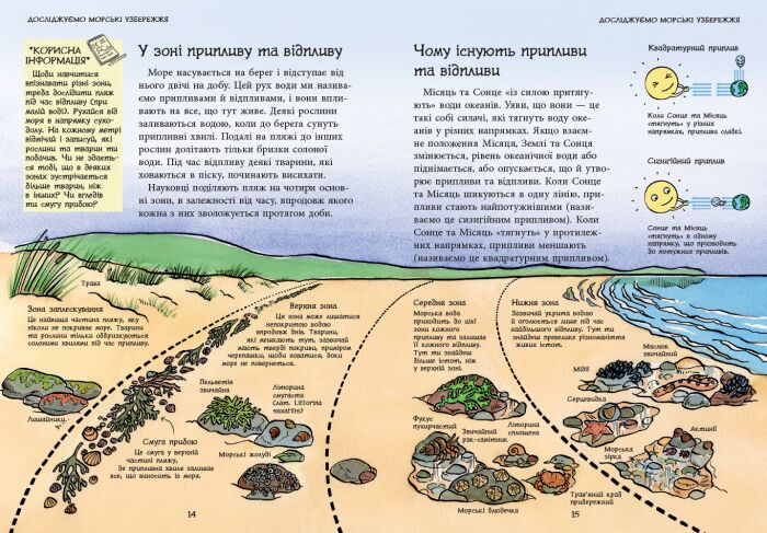 Океанічні й морські узбережжя - фото 2