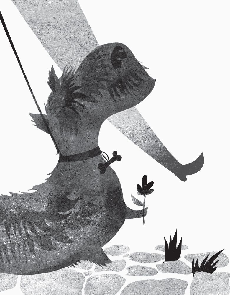 3 рівень. Мармуровий пес - фото 5