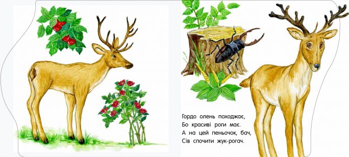 У зоопарку - фото 4