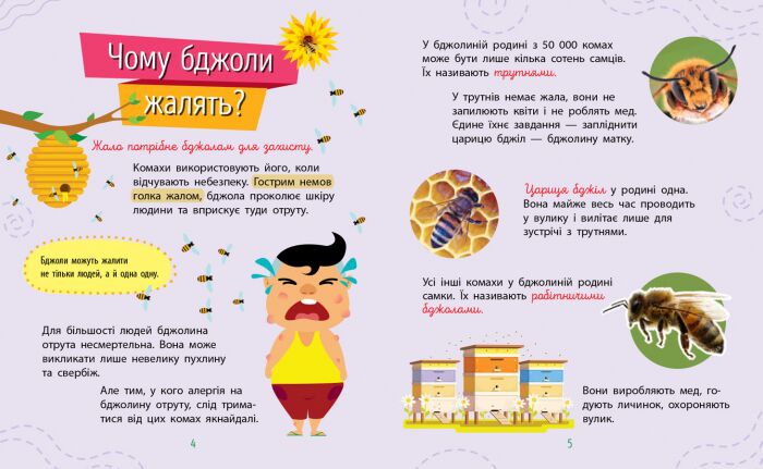 Комахи - фото 2