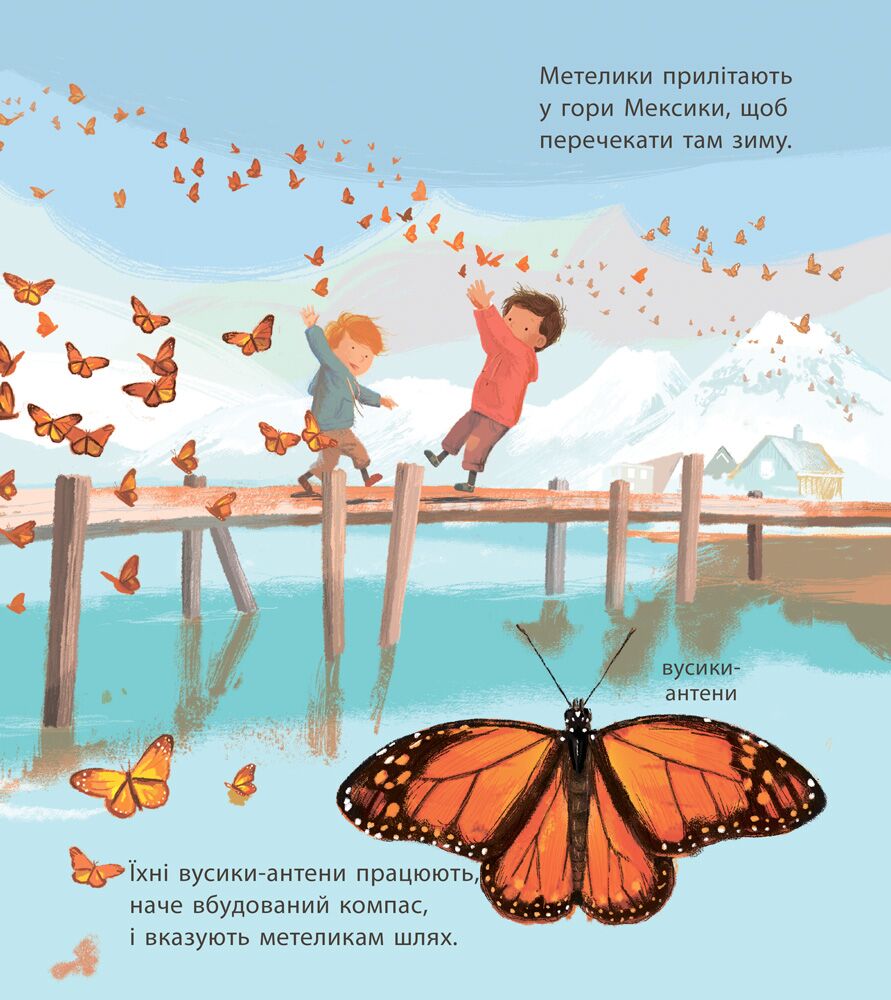 Дивовижні мандрівки тварин - фото 3