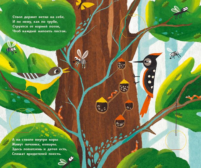 Вище і вище і вище на дереві - фото 4