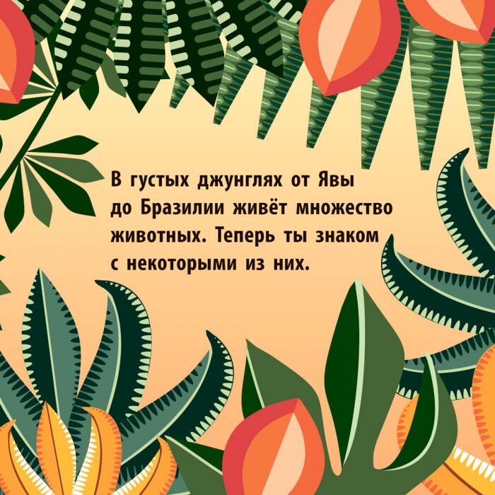 Команда джунглей - фото 2