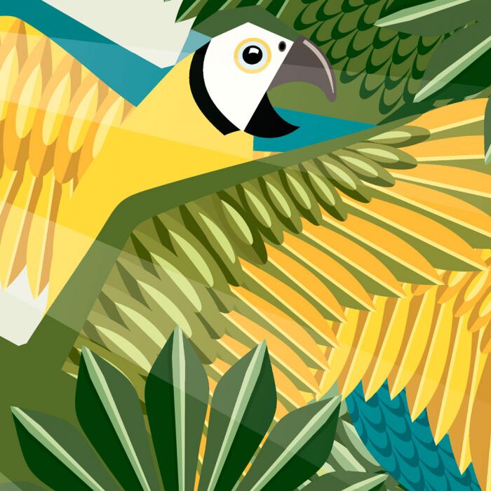 Команда джунглей - фото 3