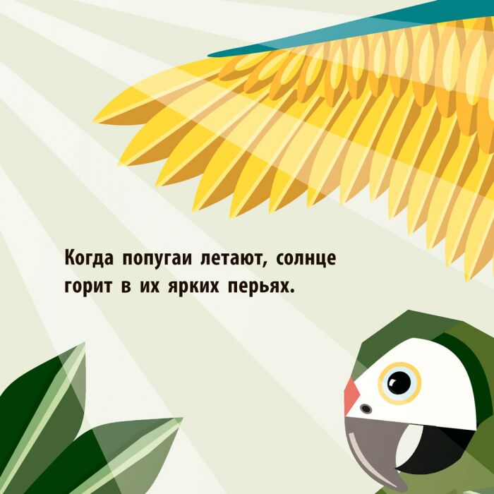 Команда джунглей - фото 4