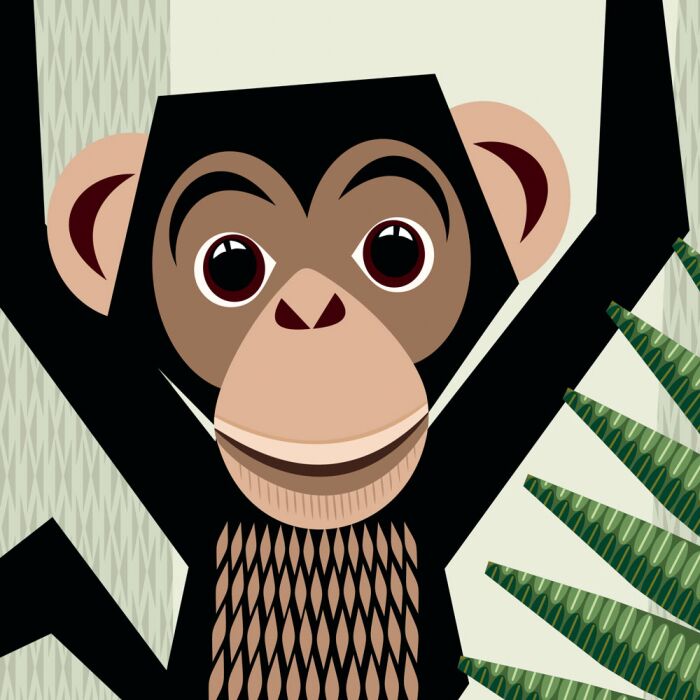 Команда джунглей - фото 5