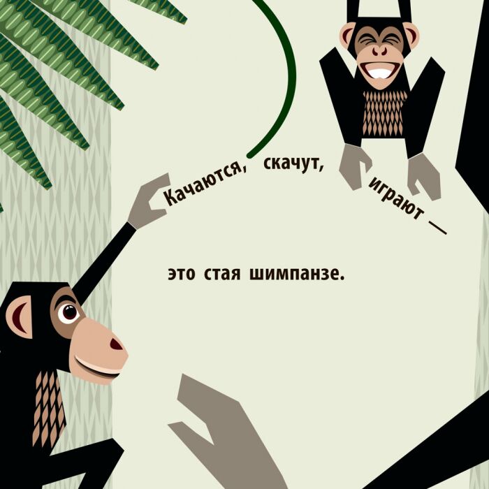 Команда джунглей - фото 6